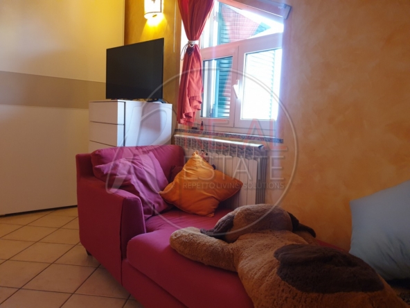 appartamento su due livelli spinetta marengo8